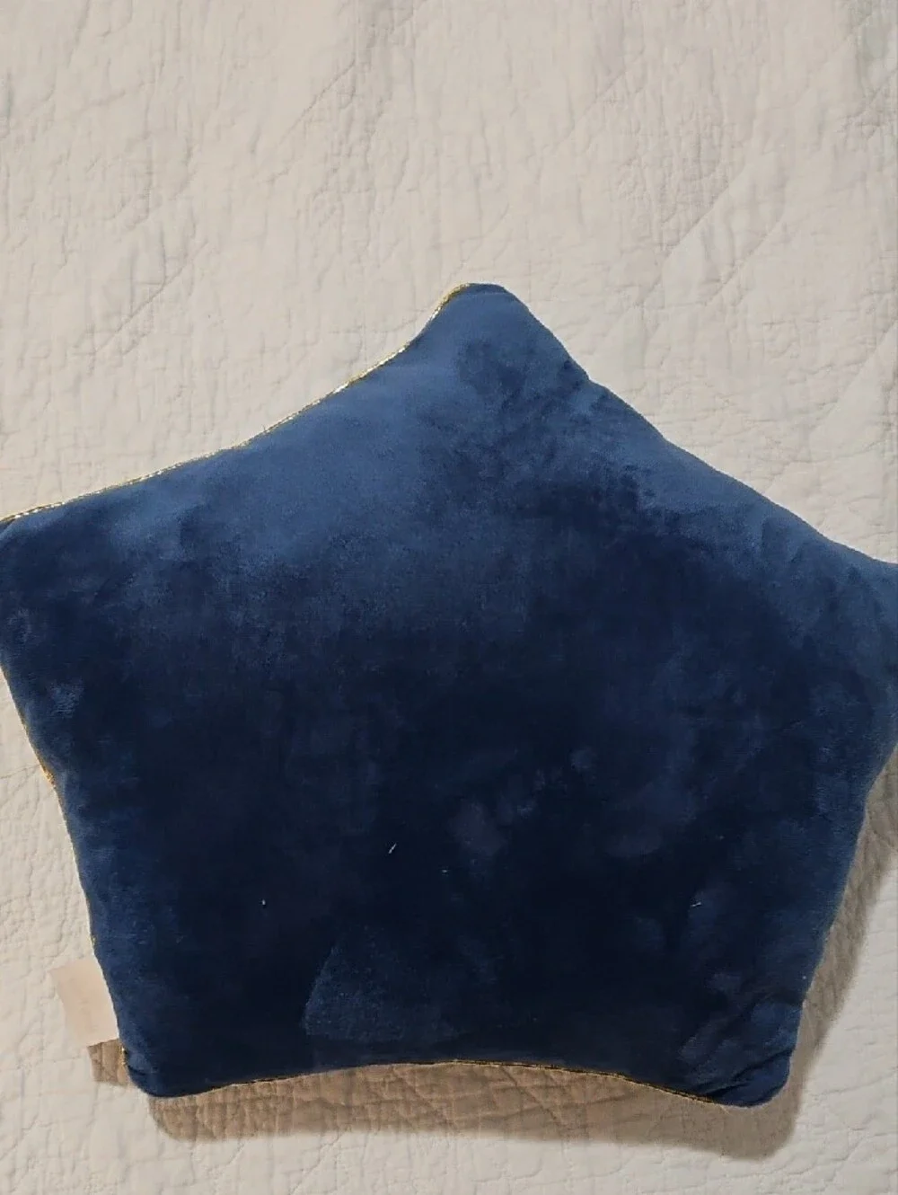 Warner Bros. Harry Potter Velvet Pillow - Navy & Gold Trim